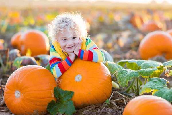 Kind spelen op pompoen patch — Stockfoto