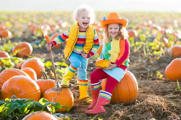 Çocuklar Halloween kabak yama üzerinde kabak toplama