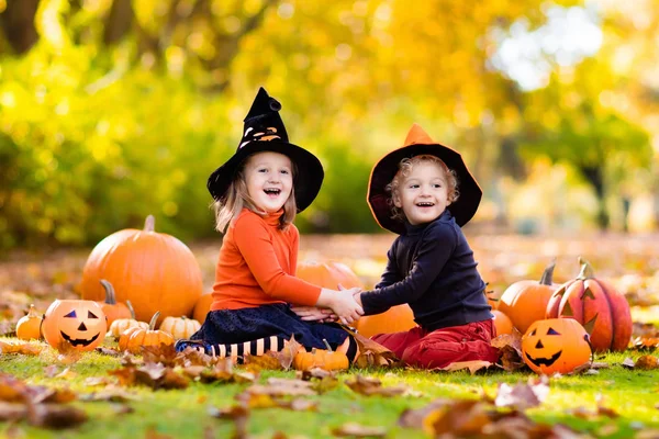 Cadılar Bayramı kostümleri kabaklar çocuklarla