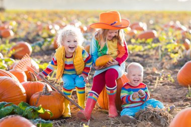 Çocuklar Halloween kabak yama üzerinde kabak toplama