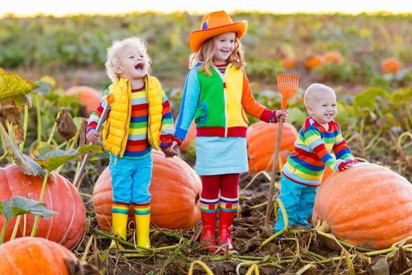 Kids picking pumpkins on Halloween pumpkin patch