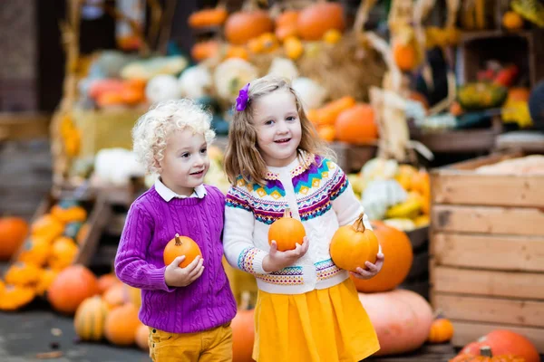 Çocuklar eğleniyor kabak yama