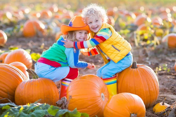 Niños recogiendo calabazas en el parche de calabaza de Halloween —  Fotos de Stock