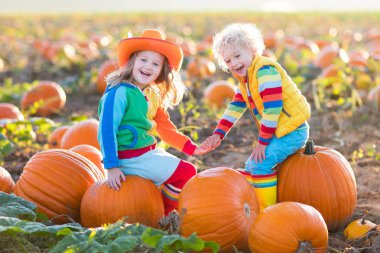 Çocuklar Halloween kabak yama üzerinde kabak toplama
