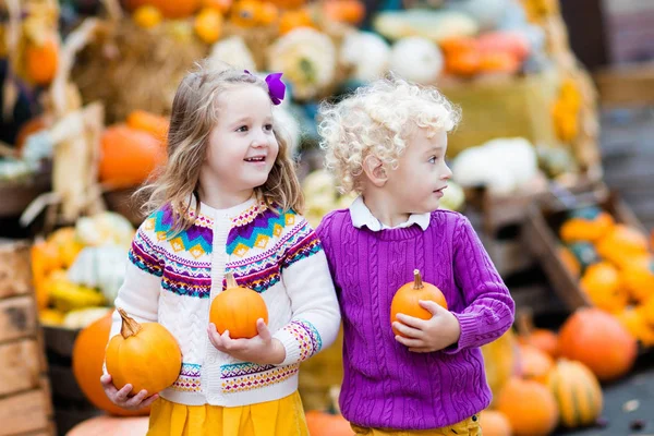 Kinderen plezier op pompoen patch — Stockfoto