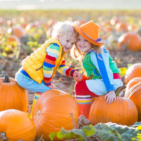 Bambini che raccolgono zucche sul cerotto di zucca di Halloween — Foto Stock