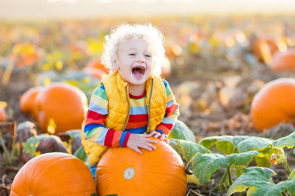 Barn leker på pumpkin patch — Stockfoto