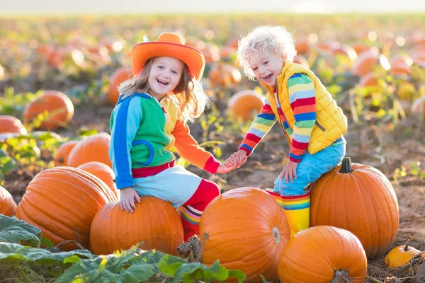 Niños recogiendo calabazas en el parche de calabaza de Halloween —  Fotos de Stock