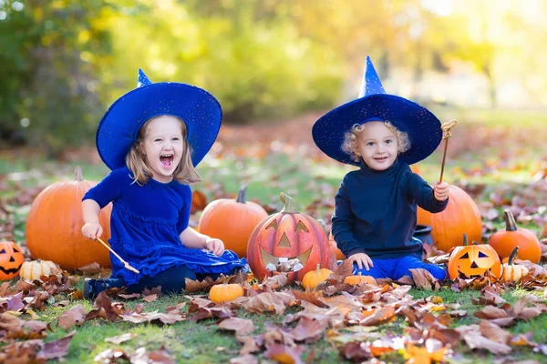 Cadılar Bayramı kostümleri kabaklar çocuklarla