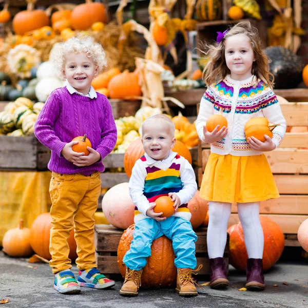 Çocuklar eğleniyor kabak yama