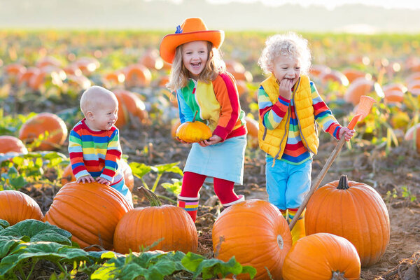 Kids picking pumpkins on Halloween pumpkin patch