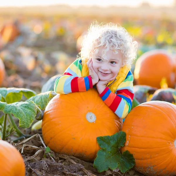 Kabak yama üzerinde oynayan çocuk