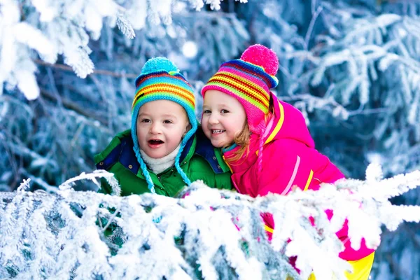 Crianças brincando na floresta nevada — Fotografia de Stock