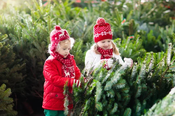 Dzieci Wybierz choinkę. Rodzina zakupu drzewa Xmas. — Zdjęcie stockowe