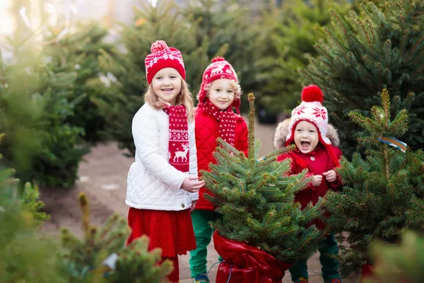 Děti vybrat vánoční stromeček. Vánoční dárky, nákupy. — Stock fotografie