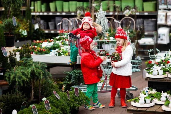 子供のクリスマス ツリーを選択します。クリスマス ギフト ショッピング. — ストック写真