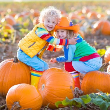 Çocuklar Halloween kabak yama üzerinde kabak toplama