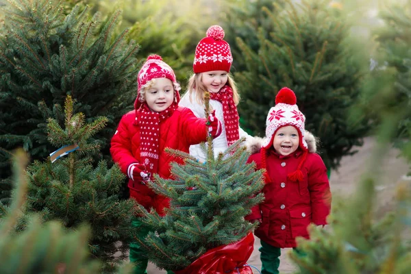 Niños seleccionando el árbol de Navidad. Compras regalos de Navidad . — Foto de Stock