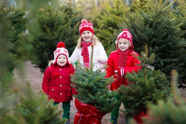 Τα παιδιά επιλέξετε χριστουγεννιάτικο δέντρο. Δώρα Χριστούγεννα ψώνια. — Φωτογραφία Αρχείου