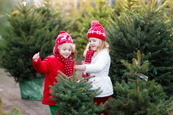 Kinder suchen Weihnachtsbaum aus. Weihnachtsgeschenke einkaufen. — Stockfoto