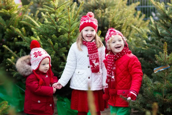 Crianças selecionando árvore de Natal. Natal presentes compras . — Fotografia de Stock