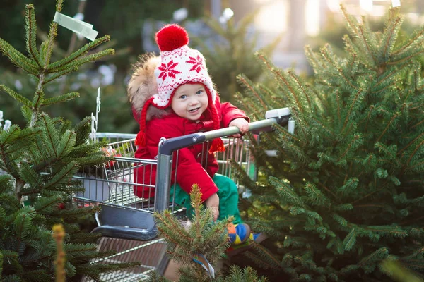 Niños seleccionando el árbol de Navidad. Compras regalos de Navidad . —  Fotos de Stock