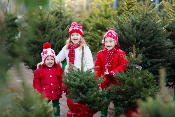 Τα παιδιά επιλέξετε χριστουγεννιάτικο δέντρο. Δώρα Χριστούγεννα ψώνια. — Φωτογραφία Αρχείου