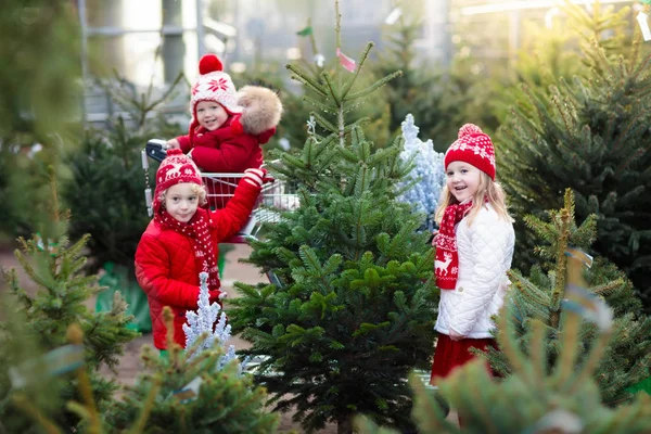 Děti vybrat vánoční stromeček. Vánoční dárky, nákupy. — Stock fotografie