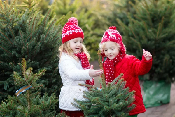 Çocuklar Noel ağacı seçerek. Xmas hediye alışveriş. — Stok fotoğraf