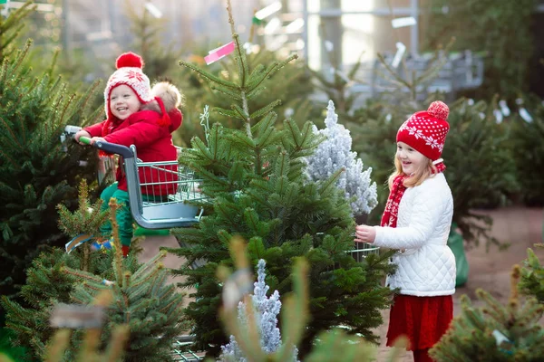 子供のクリスマス ツリーを選択します。クリスマス ギフト ショッピング. — ストック写真