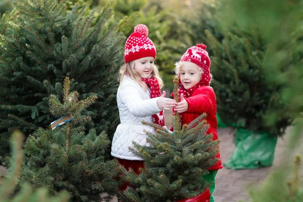 Niños seleccionando el árbol de Navidad. Compras regalos de Navidad . — Foto de Stock