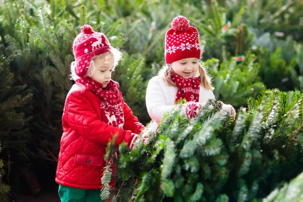 Los niños seleccionan el árbol de Navidad. Compras familiares Árbol de Navidad . — Foto de Stock