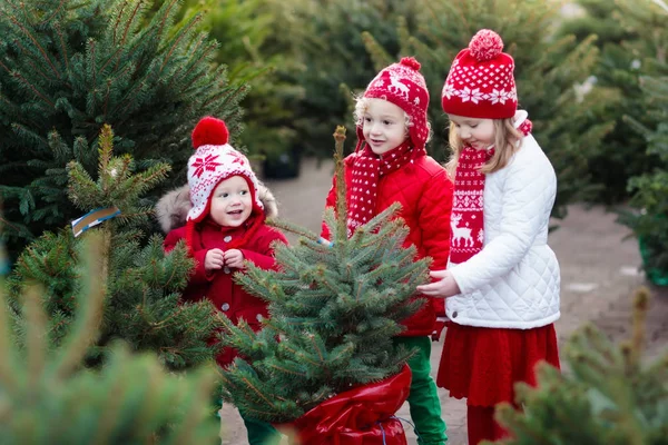 Niños seleccionando el árbol de Navidad. Compras regalos de Navidad . — Foto de Stock