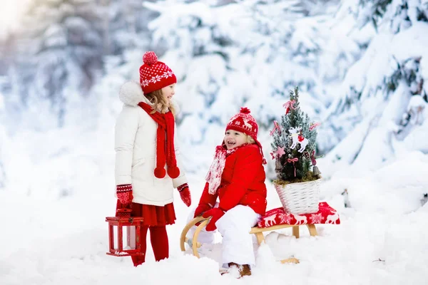 Crianças com árvore de Natal. Diversão de inverno de neve para crianças . — Fotografia de Stock