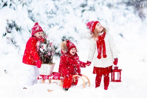 Barn med julgran. Snö vinter roligt för barnen. — Stockfoto