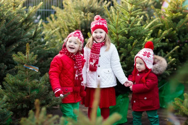 Kinder suchen Weihnachtsbaum aus. Weihnachtsgeschenke einkaufen. — Stockfoto