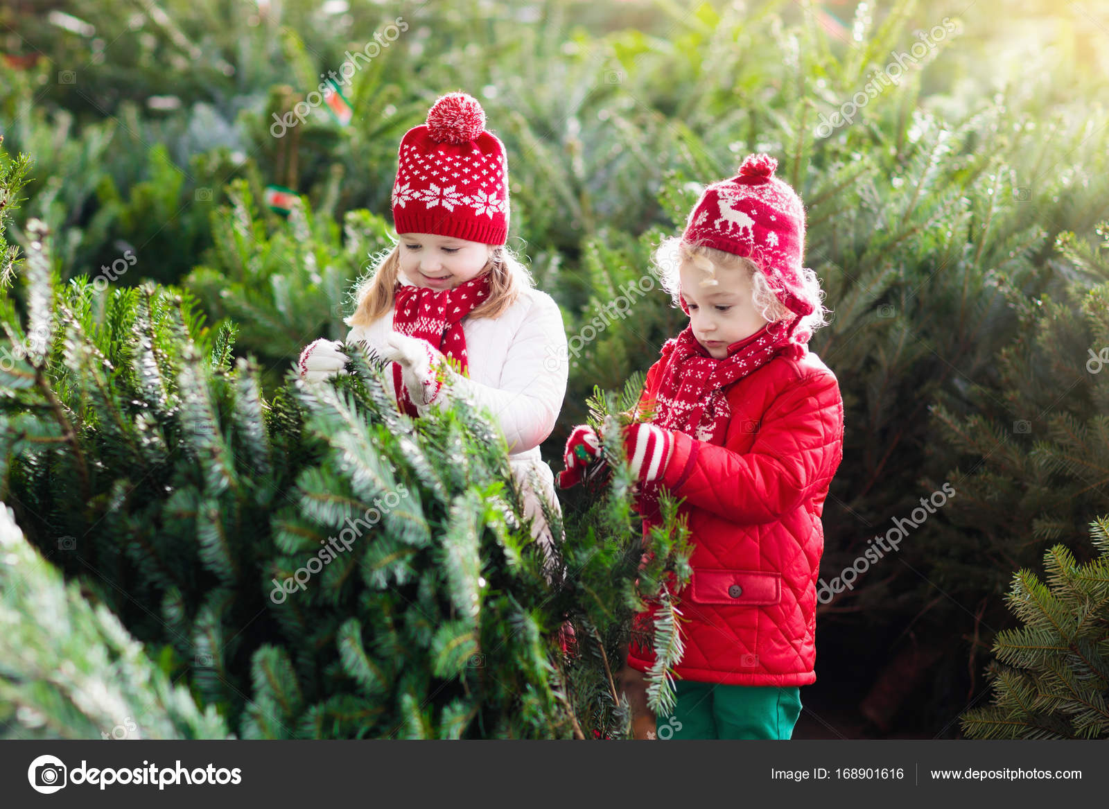 xmas tree