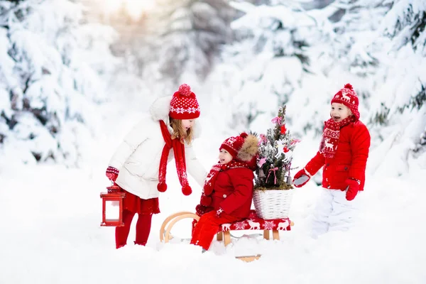 Niños con árbol de Navidad. Nieve invierno diversión para niños . — Foto de Stock
