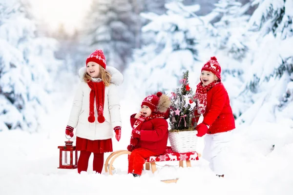 Enfants avec sapin de Noël. Neige hiver amusant pour les enfants . — Photo