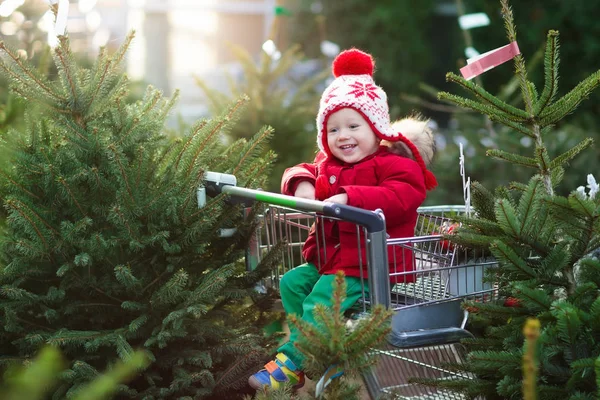 Niños seleccionando el árbol de Navidad. Compras regalos de Navidad . —  Fotos de Stock