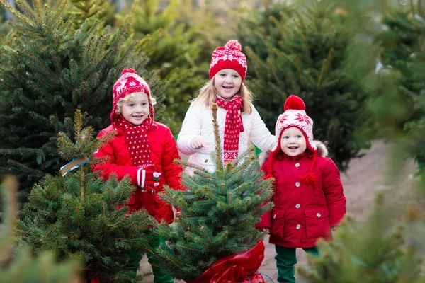 Çocuklar Noel ağacı seçerek. Xmas hediye alışveriş. — Stok fotoğraf