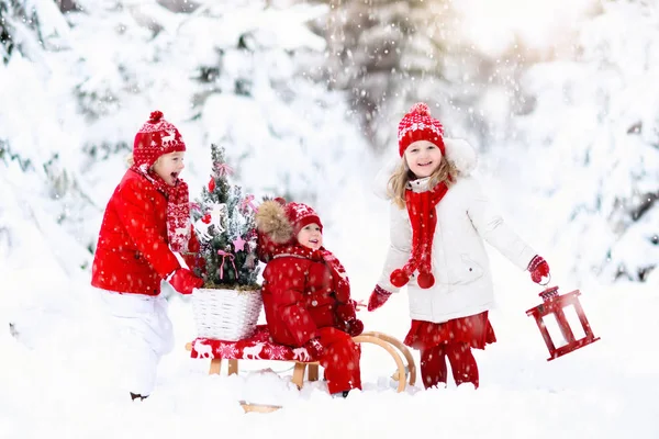 Niños con árbol de Navidad. Nieve invierno diversión para niños . — Foto de Stock