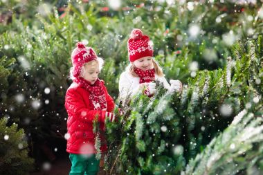 Çocuklar Noel ağacı seçin. Aile satın alma Xmas ağacı.