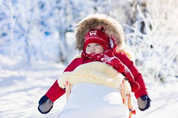 Sled e neve divertido para as crianças. Baby sledding no parque de inverno . — Fotografia de Stock
