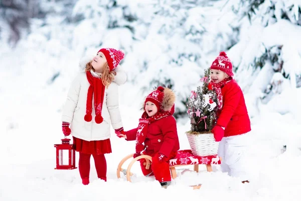 Děti s vánoční stromeček. Snow zimní radovánky pro děti. — Stock fotografie