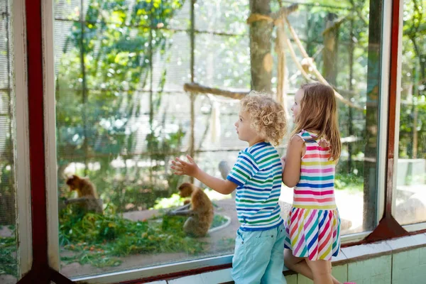 Αγόρι και κορίτσι με μαϊμού στο ζωολογικό κήπο. Τα παιδιά και τα ζώα. — Φωτογραφία Αρχείου