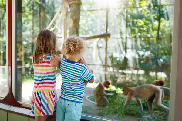 Chłopiec i dziewczynka z małpy w zoo. Dzieci i zwierząt. — Zdjęcie stockowe