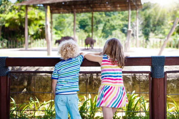 I bambini guardano gli elefanti allo zoo. Bambini e animali . — Foto Stock