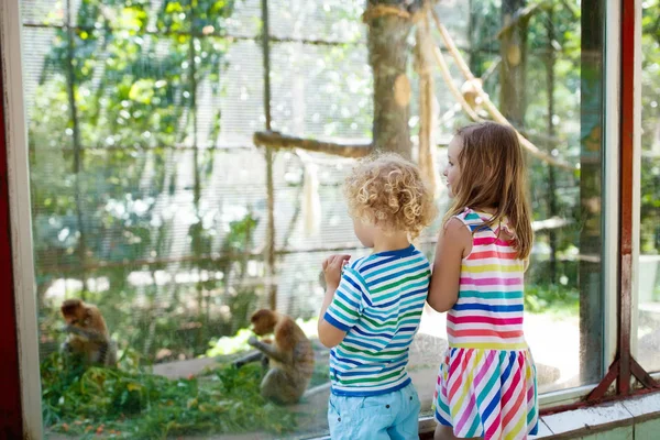 Chico y chica con mono en el zoológico. Niños y animales . — Foto de Stock