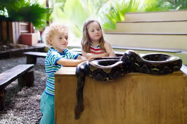 Menino e menina segurar e alimentar serpente python no zoológico — Fotografia de Stock